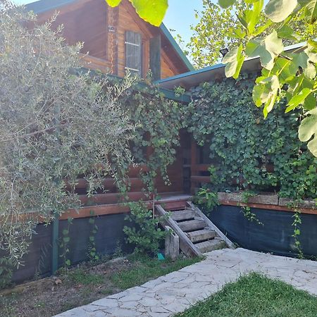 Holiday Home Kite House Улцинь Екстер'єр фото